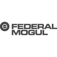 FEDERAL MOGUL